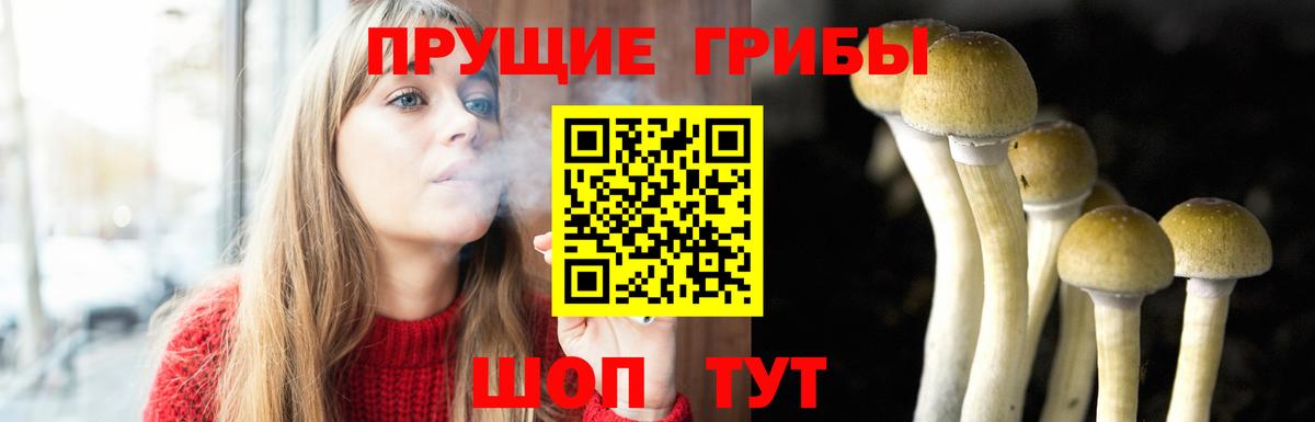 Галлюциногенные грибы прущие грибы  Вход с VPN  Галлюциногенные грибы мицелий  Пыть-Ях 